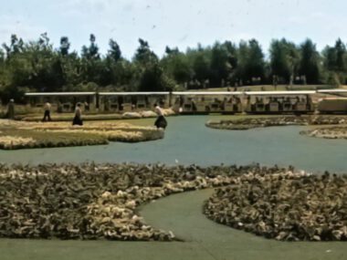 Floriade 1982 Zuidoost