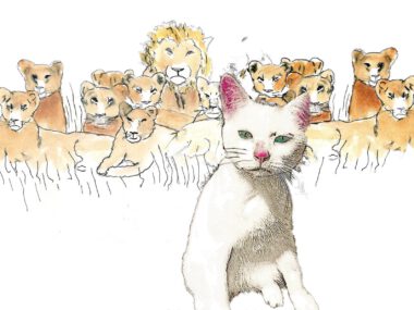 Anneke-Poes En Leeuwen