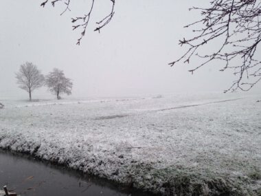 Fijne kerstdagen